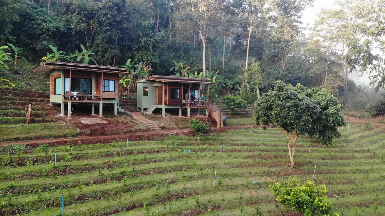Chiang Mai Elephant Friends Εξωτερικό φωτογραφία