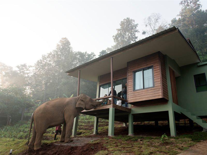 Chiang Mai Elephant Friends Εξωτερικό φωτογραφία